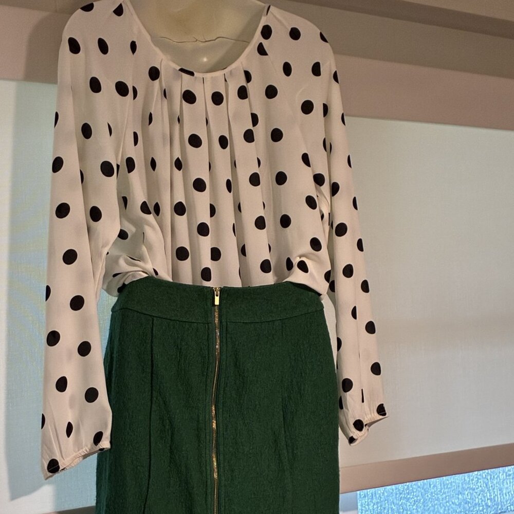 Banana Republic skirt ( size 0)  & white long sleeve polka dot blouse - preloved - Picture 3 of 9